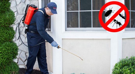 Çeltik Gümüşkurt İlaçlama böcek ilaçlama ve haşere kontrolü — ilaclama-tr.com
